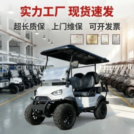 高尔夫球车;电动观光车;其他电动车