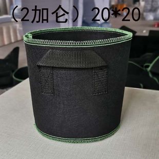 �Nֲ���o�����ò����Ӻ�ֲ����{ݮ�Nֲ���Ӹ��̨��픷N���N���S