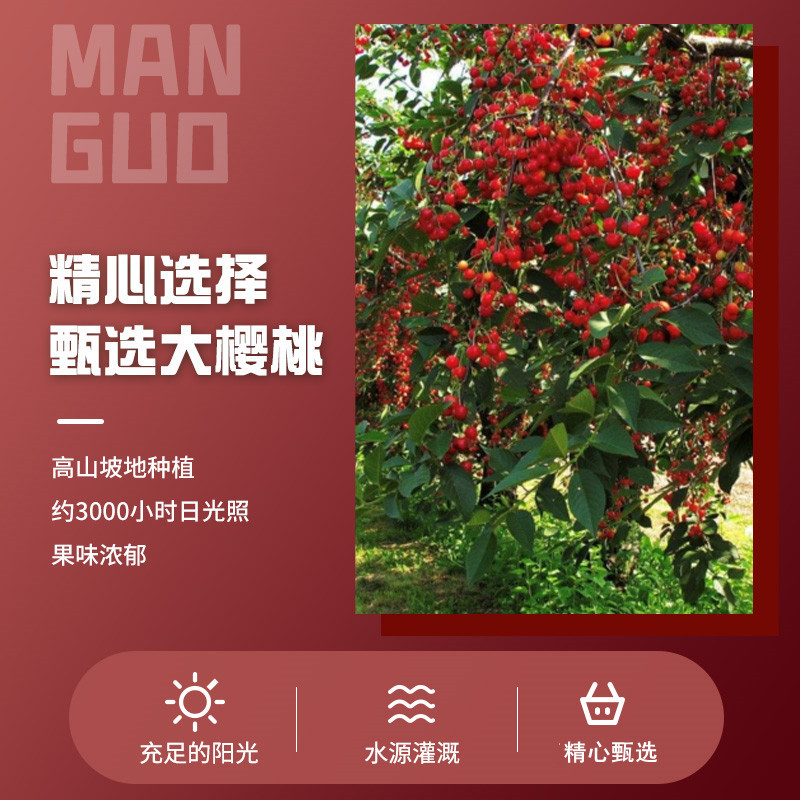 Supply Wholesale Leisure Internet Celebrity Preserved Fruit Micro Mall Independently Packaged Preserved Food Year-Round Fruit Dried Cherry