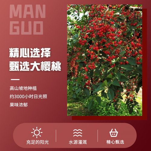 Supply Wholesale Leisure Internet Celebrity Preserved Fruit Micro Mall Independently Packaged Preserved Food Year-Round Fruit Dried Cherry