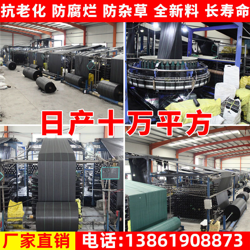 防草布除草布農用抗老化果園蓋草遮草布農用園藝地布透水透氣保濕