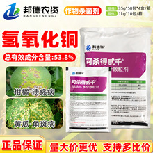 �Ƶ��A�ɚ����Eǧ2000�������~�����S�Ͻǰ߲��Ű��rș������