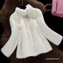 ƤŮ2025¿Ƥݴ·ˮqСӶ̿