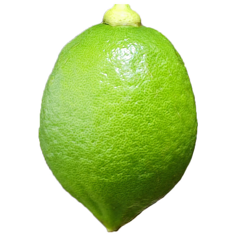 香柠檬广东本地正宗无籽香水柠檬新鲜现摘一级二级果奶茶店专用