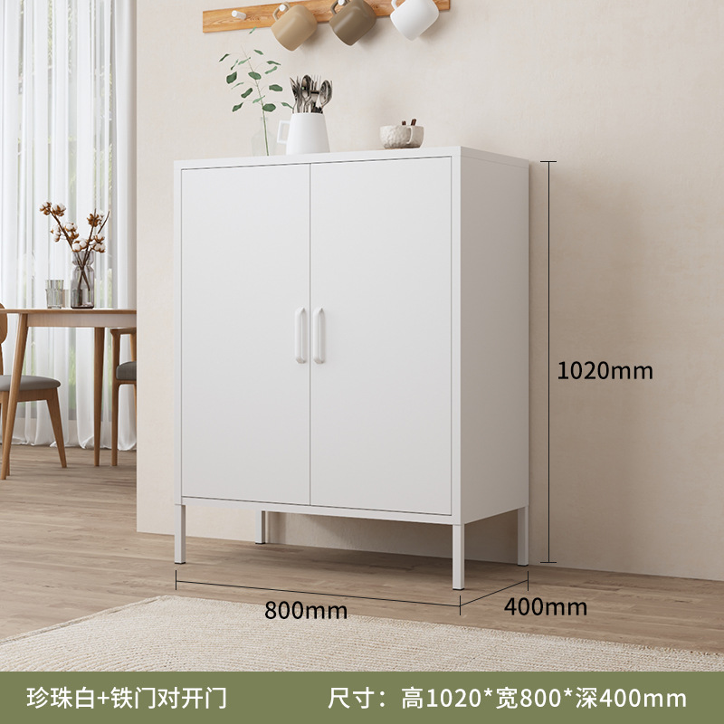 Белая железная дверная панель