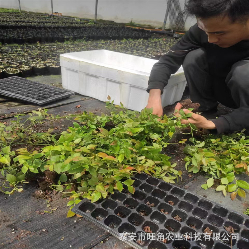 1c505beeb43cbe384d646de8e27d0b