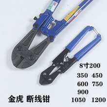 ���Ɣྀ�Q 䓽�� �F�z�� 8�������Q