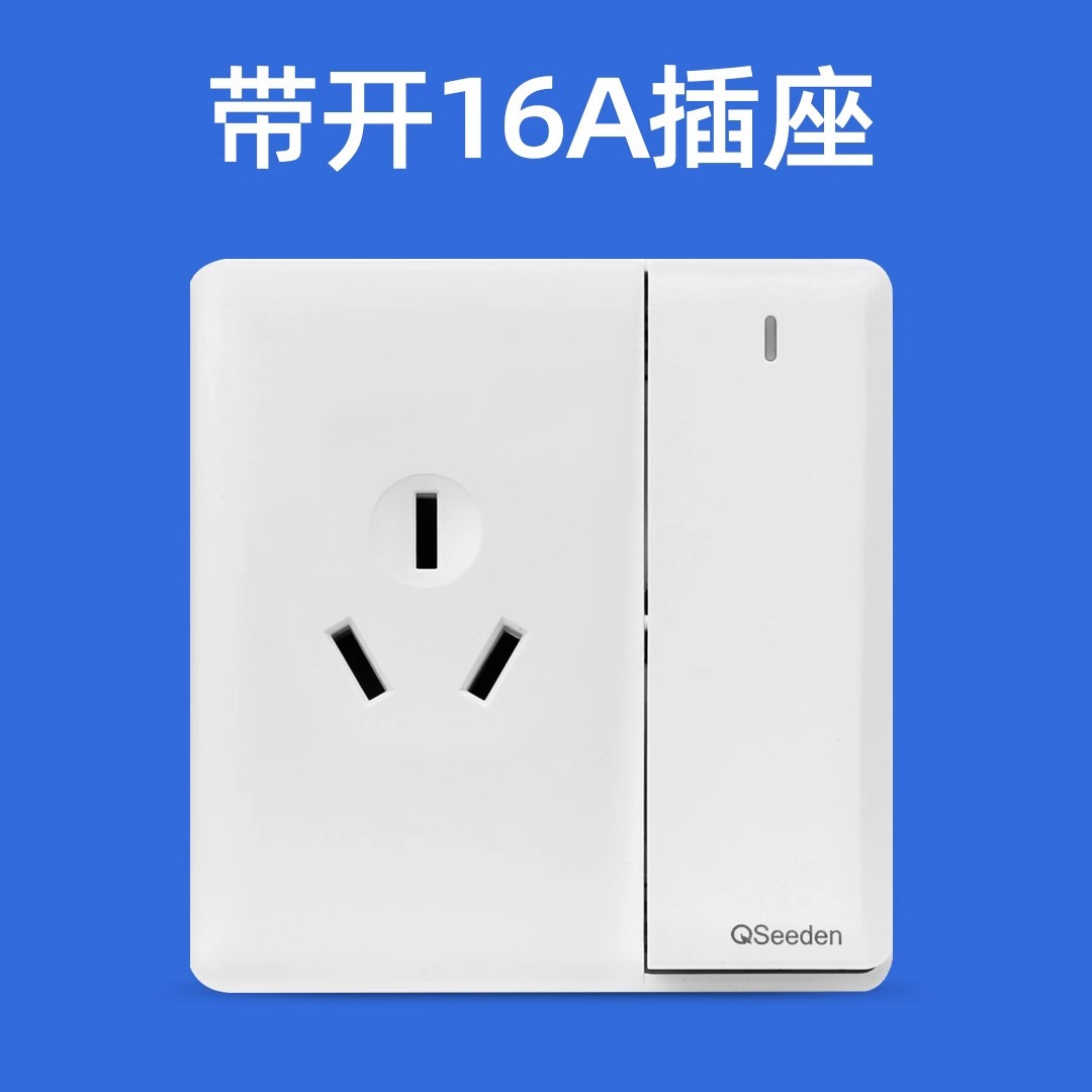 16a switch with socket