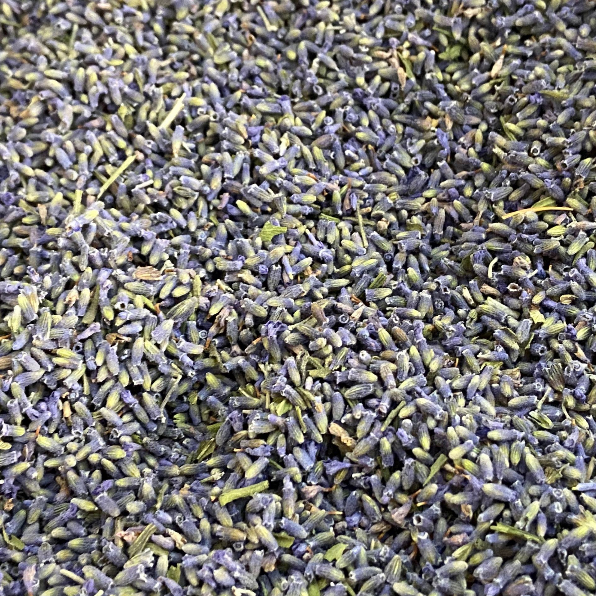 Dried Lavender Buds Xun Yi Cao 1 lb Natural Aromatic Herb for Sachets Pillows and Herbal Blends in use