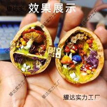 ���t��ճ���������~��퓺���С��ʯ�������΢�ͳ��_������