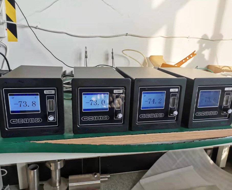 YZL-S100L型微量氧分析仪 (2)