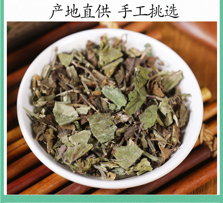 Shi Jian Chuan Dried Herb 500g Salvia chinensis Whole Plant Traditional TCM Herbal Decoction Ingredient in use