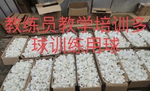 二手羽毛球 教学培训 业余训练 教练员培训班多球训练用球