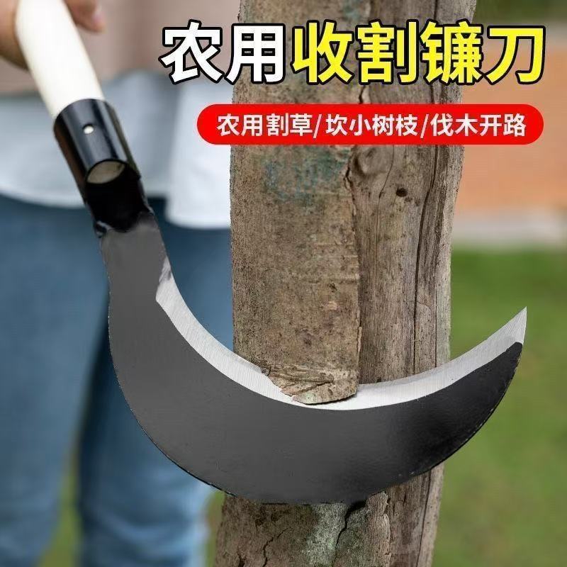 微信图片_20260624174121_98_4.jpg