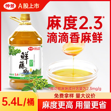 �پ��r�ٽ��ͻ������������������͛�����׾�����������͹�ˇ