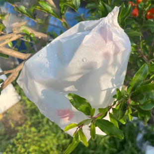 ������ɫʯ��� ��ɫ������ �Ό�ˮ���״� ˮ���Ҵ� �Ҵ�������