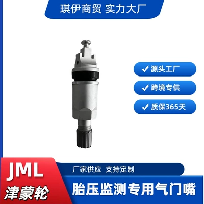 Suitable for Toyota Corolla, Levin, Avalon, Rav4 Tire Pressure Sensor Monitoring Dedicated Valve Stem Tire Valve (valve)