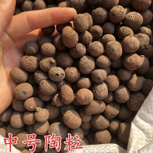 ��������]�������Է���������Nֲ����|�ןo�������B����������