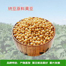 至盈黄金豆新粮产地批发非转基因小粒黄豆纳豆专用黄豆100斤商用