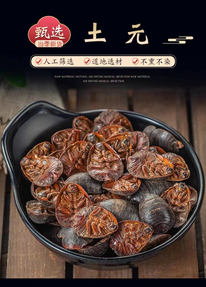 Dried Ground Beetle Tu Bie Chong Whole Insect Chinese Herb Eupolyphaga 500g Loose Bulk overview