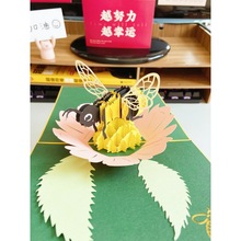 ͯRώ3dwrdiyףСƬinsLY