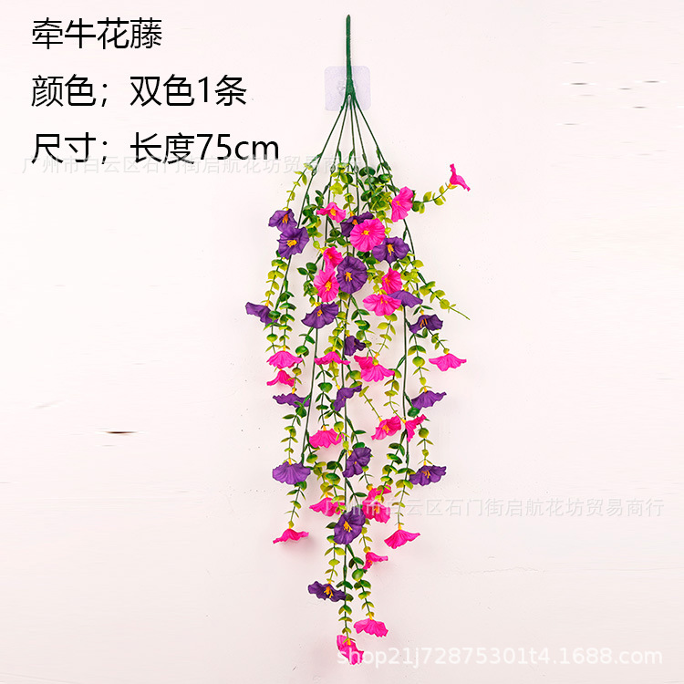 [2색+나팔꽃라탄]