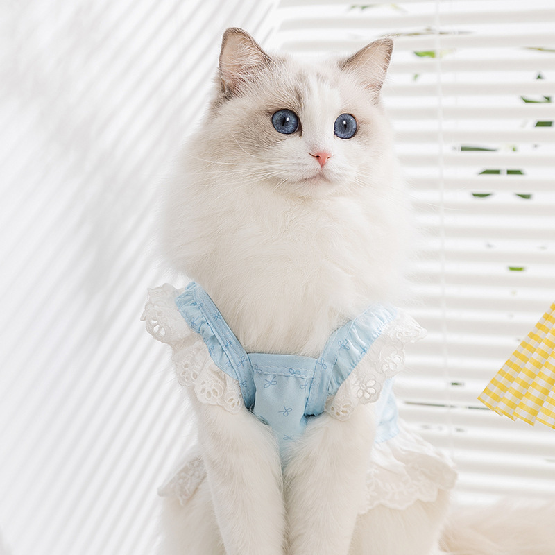 Gato primavera verano dama viento ojos mariposa encaje encaje tirantes falda perro falda peluche mascota gato ropa