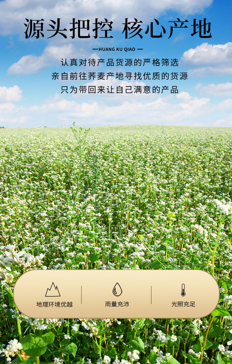 Tartary Buckwheat Tea Ku Qiao Cha Fagopyrum tataricum Roasted Grain Tea 250g Individually Wrapped Sachets Caffeine Free quality and texture