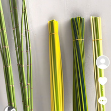 ���ݹ����ݼ��ݹ�β�݄��~�����L܇����̦��ƺ����֧����ֲ��ٻ�