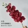 3D feel Phalaenopsis-red