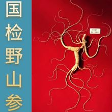 国检野山参礼盒15年以上一等国检人参礼盒过年礼品东北林下参特产