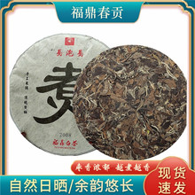 茶叶福鼎白茶 2008年春茶老白茶饼 可煮款白茶枣香贡眉饼产地批发
