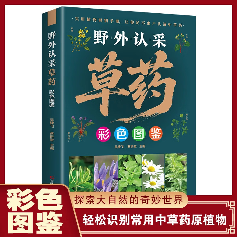 野外认采草药彩色图鉴中草药学野外识别应用彩图大全入门通俗易懂|undefined