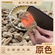 【干天麻】天麻个天麻片天麻粉云南昭通小草坝天麻乌天麻支持试吃