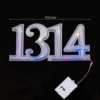 1314 light (color)