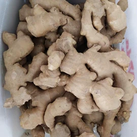 蒜;姜;洋葱