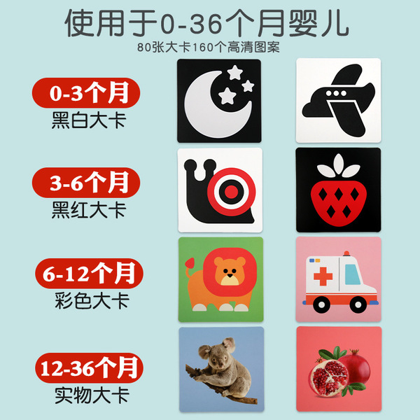 Children's early education cards for training for new born