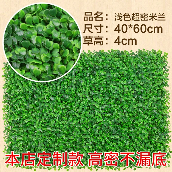 Light -colored ultra -dense Milan grass