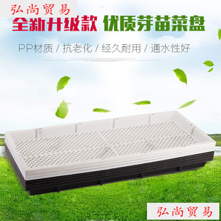 ���rѿ�˱P����������P��ˮ�������P��ѿ�������бP�����P�Nֲ��