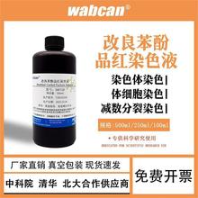 苯酚品红染色液改良石炭酸品红卡宝染色液 100ml