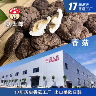 ���X��С�㹽��؛2.5-3cm���㹽������׵�׶���ÓˮĢ�����؂䰸