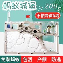 Λρ��������Λρ�Ǳ��҈@�����B�����x�^��ЌW���˹��Bֳ�C�Ԍm