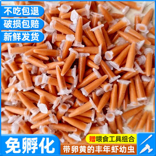 �S���r�ѿ�ȸ�~�~��σ����x�����~������_���~�Zˮĸ��ϸߵ���