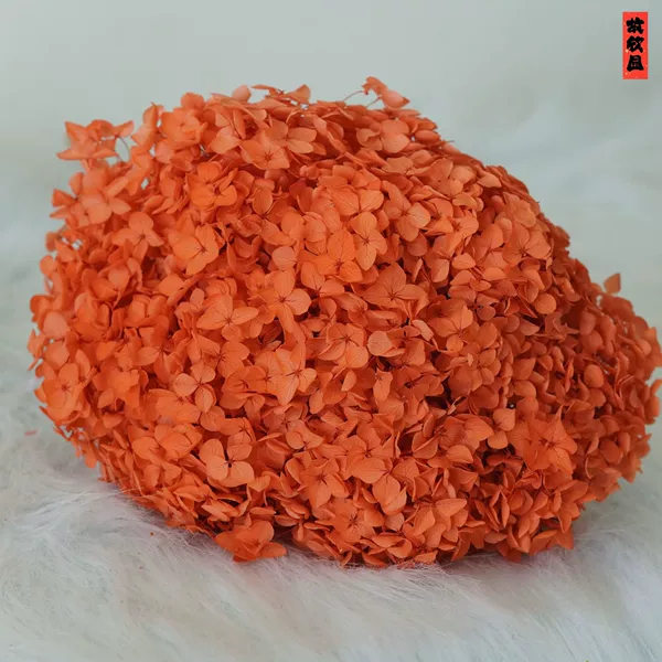 Dark Orange/Branch