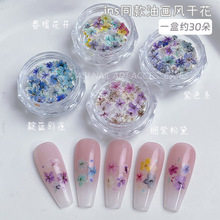 日系ins风迷你美甲干花blc同款混彩天然押花干燥花花苞穿戴甲饰品