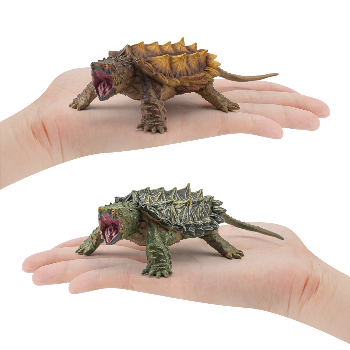 Transfronteriza exportación simulación anfibios reptiles tortuga de agua dulce cocodrilo tortuga modelo decoración estática agua tortuga modelo juguete