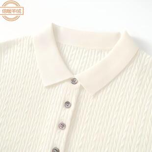 ����ū����100%����ëᘿ�����Ů2026�����¿��黨���|polo�IT��