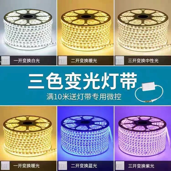 Two-color lamp, light strip