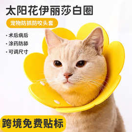 伊丽莎白头套猫绝育项圈防舔脖圈颈圈英短猫咪狗狗宠物用品神器
