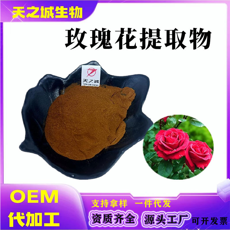 玫瑰花提取物10:1多规格玫瑰花提取玫瑰花细粉喷雾干燥现货1b